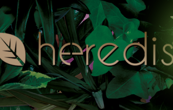 Le logiciel Hérédis et la généalogie génétique