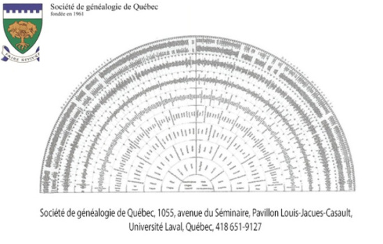 Le logiciel ANAGED et la roue de paon