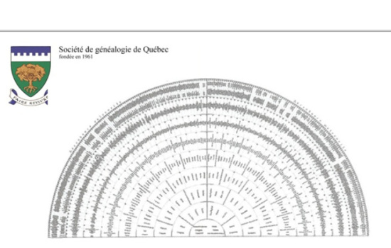 Le logiciel Anaged et la roue de paon