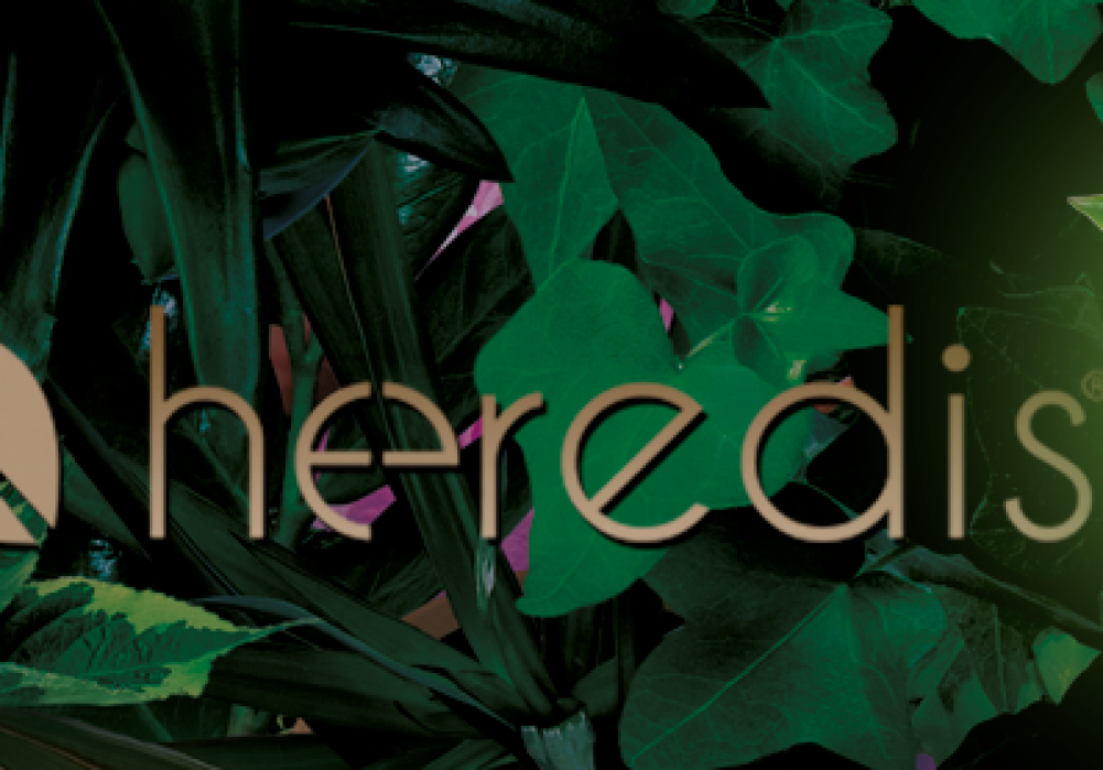 Formation en ligne M-2026 <br> <b> Entraide logiciel Heredis