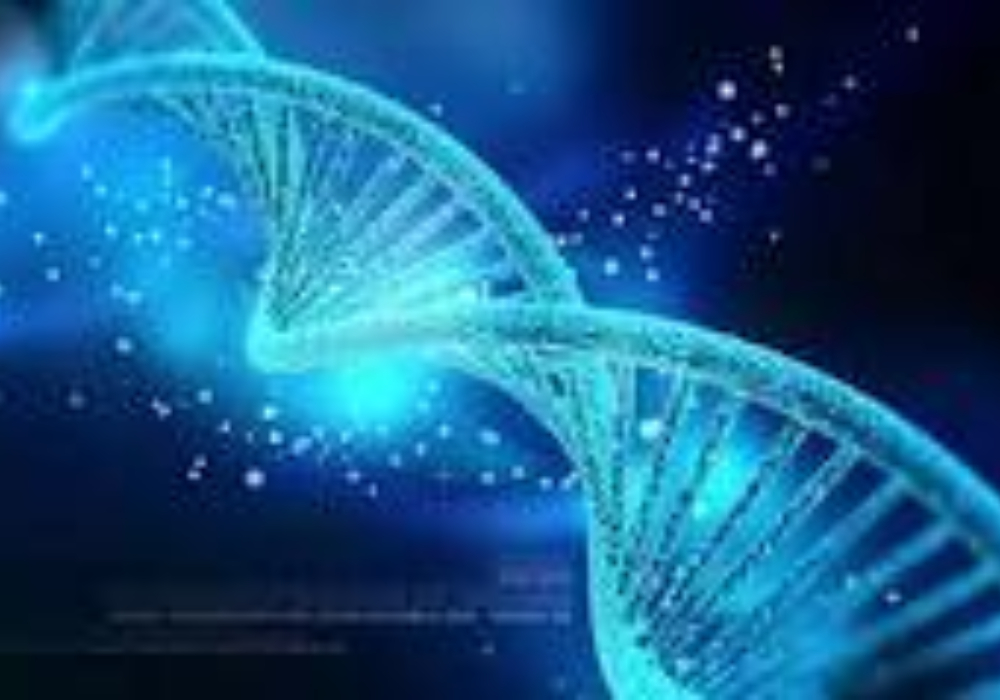 Formation en ligne <br> <b> Le test ADN Ancestry