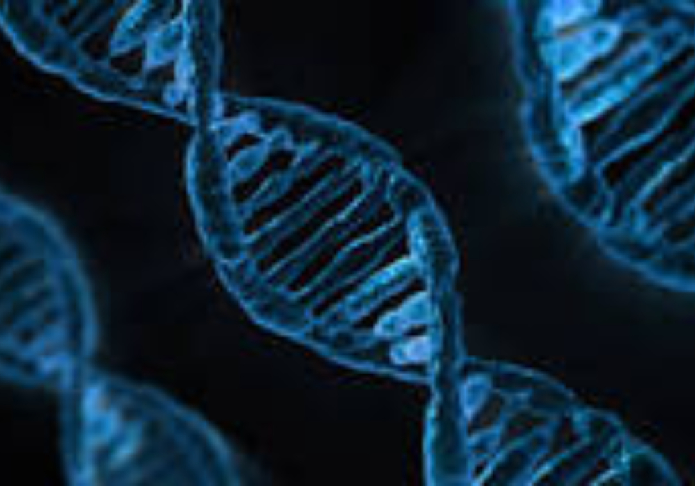 Formation en ligne <br> <b> Généalogie génétique (Concepts de base)