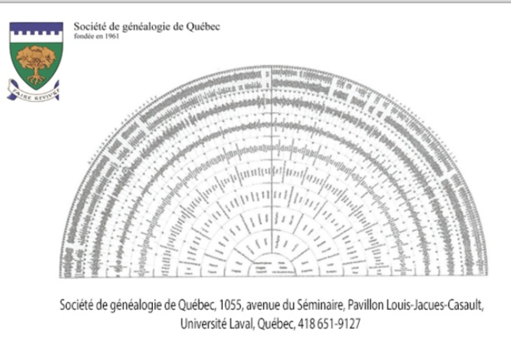 Formation en ligne <br> <b> Le logiciel Anaged et la Roue de paon