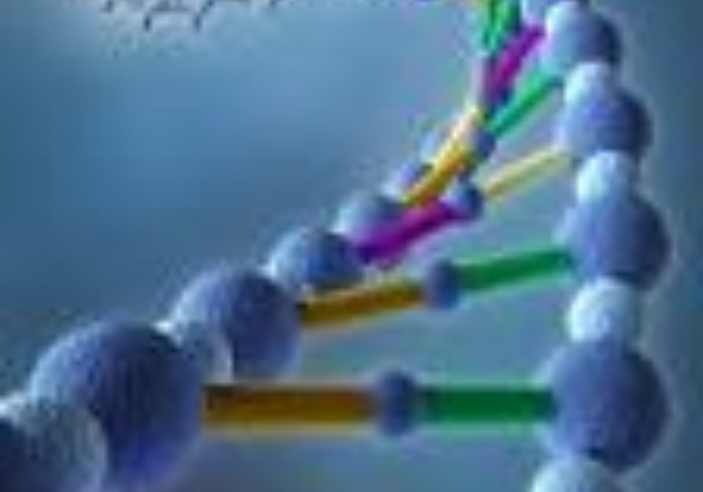 Formation en ligne <br> <b> Les tests d’ADN et le généalogiste (une introduction)