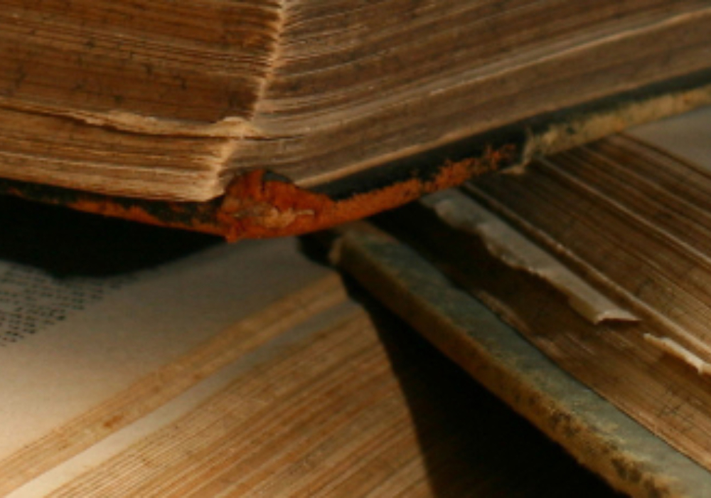 Formation en ligne F-2026<br> <b> Entraide généalogique